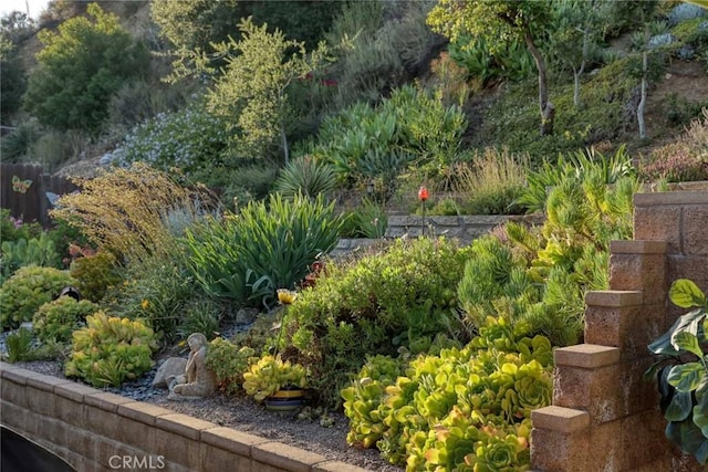 6541 Tokay Rd, Tujunga, CA 91042 - view of yard