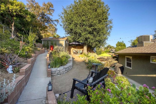6541 Tokay Rd, Tujunga, CA 91042 - view of yard featuring a patio and an outbuilding