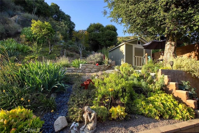 6541 Tokay Rd, Tujunga, CA 91042 - view of yard with a storage shed