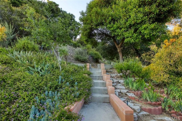 6541 Tokay Rd, Tujunga, CA 91042 - view of yard with stairs