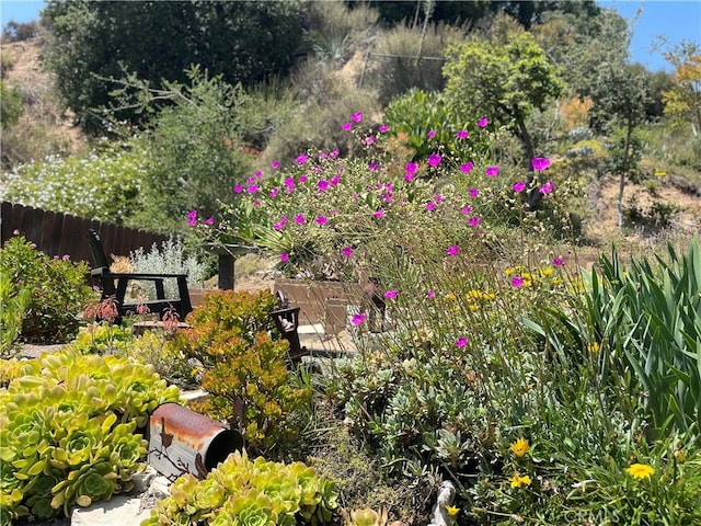 6541 Tokay Rd, Tujunga, CA 91042 - view of yard