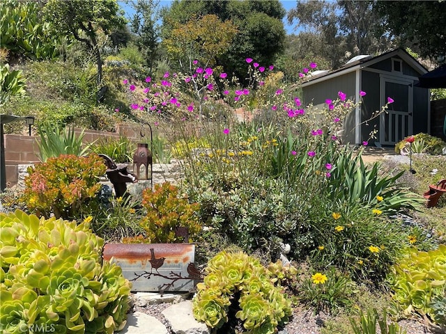 6541 Tokay Rd, Tujunga, CA 91042 - view of yard featuring a storage unit