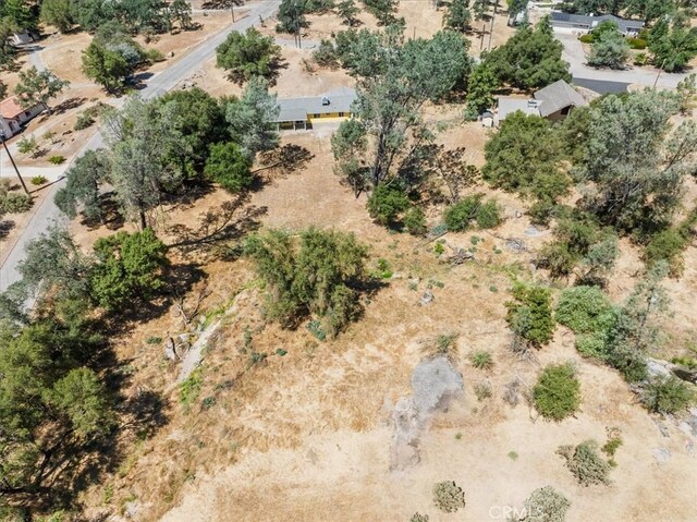 42707 Deep Forest Dr, Coarsegold, CA 93614 - photo 47