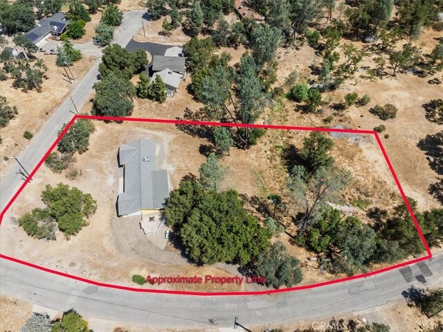 42707 Deep Forest Dr, Coarsegold, CA 93614 - photo 42