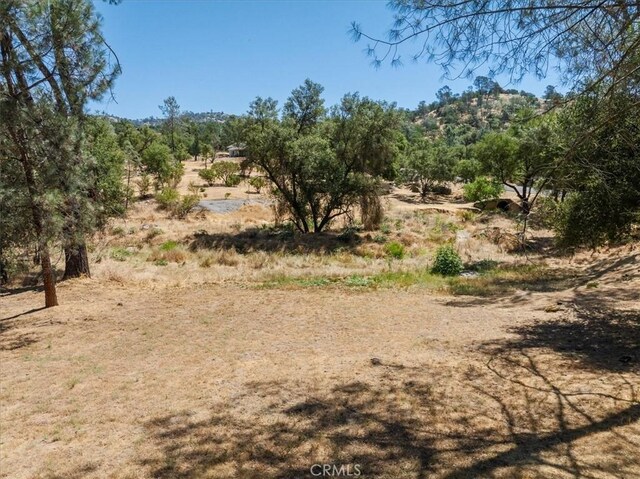 42707 Deep Forest Dr, Coarsegold, CA 93614 - photo 46