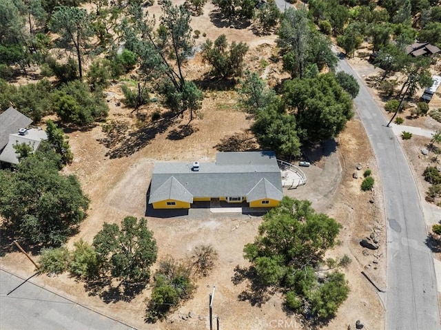 42707 Deep Forest Dr, Coarsegold, CA 93614 - photo 45