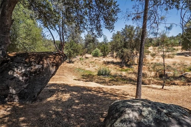 42707 Deep Forest Dr, Coarsegold, CA 93614 - photo 48