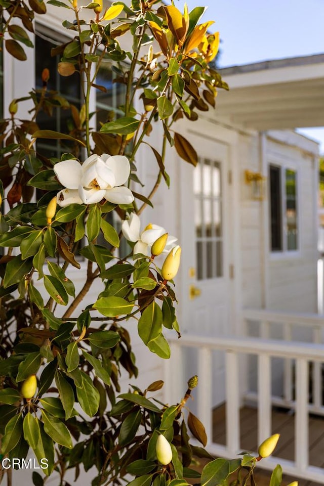 221 N 7th St, Santa Paula, CA 93060 - exterior view