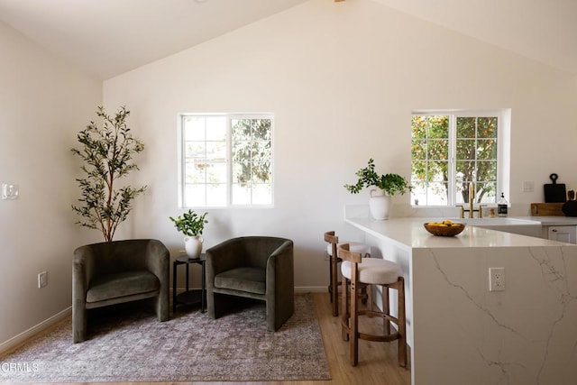 221 N 7th St, Santa Paula, CA 93060 - living area featuring light wood-style flooring and high vaulted ceiling