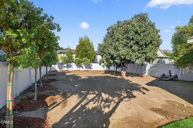221 N 7th St, Santa Paula, CA 93060 - view of fenced backyard