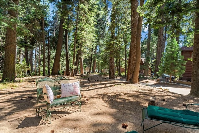 27917 Squirrel Ln, Lake Arrowhead, CA 92352 - view of community