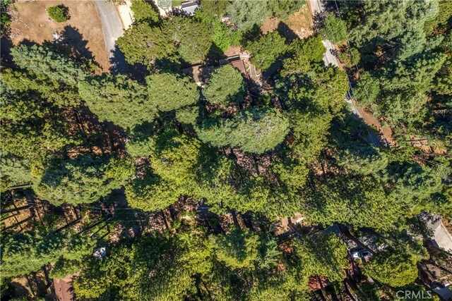 27917 Squirrel Ln, Lake Arrowhead, CA 92352 - aerial view of property and surrounding area