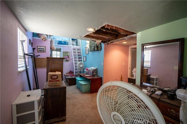 22731 Bryman Rd, Oro Grande, CA 92368 - office with a textured ceiling, carpet flooring, and healthy amount of natural light