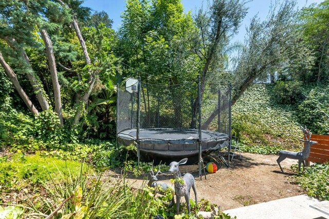 22640 Jameson Dr, Calabasas, CA 91302 - photo 54