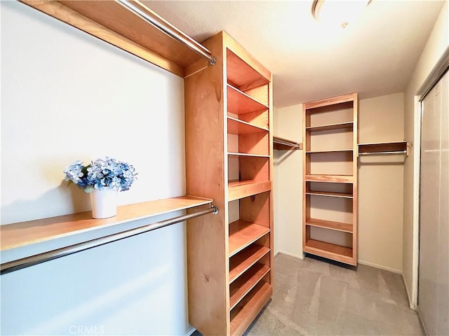 17346 Cold Spring Cir, Riverside, CA 92503 - walk in closet featuring light carpet
