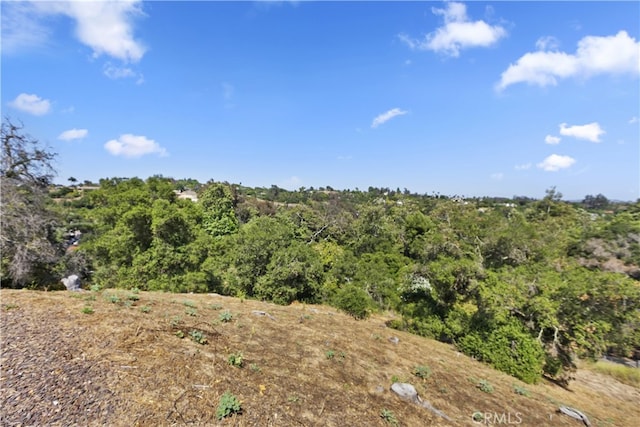 707 S Live Oak Park Rd, Fallbrook, CA 92028 - photo 69