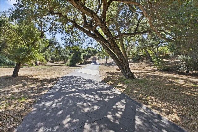 707 S Live Oak Park Rd, Fallbrook, CA 92028 - photo 74