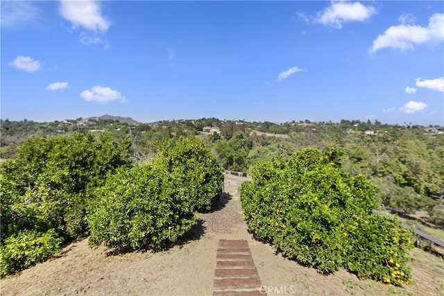 707 S Live Oak Park Rd, Fallbrook, CA 92028 - photo 67