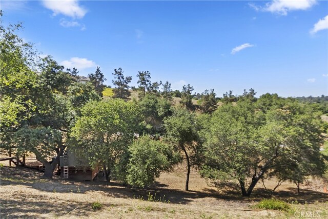 707 S Live Oak Park Rd, Fallbrook, CA 92028 - photo 66