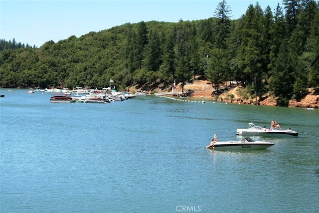 24145 Tokayana Way, Colfax, CA 95713 - water view with a heavily wooded area