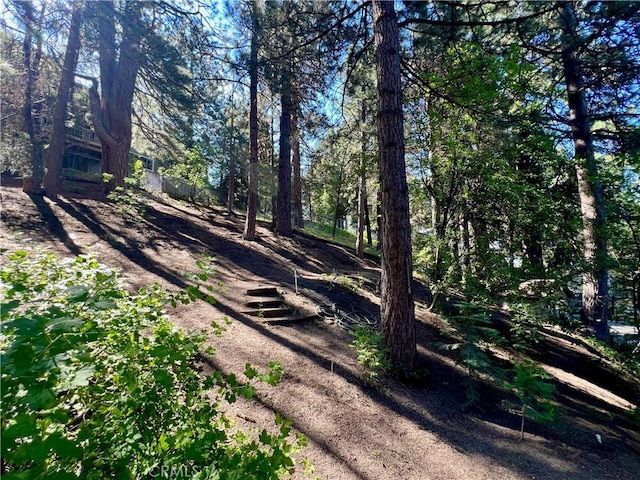 31016 Summit Dr, Running Springs, CA 92382 - view of yard