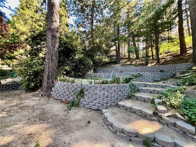 31016 Summit Dr, Running Springs, CA 92382 - view of yard