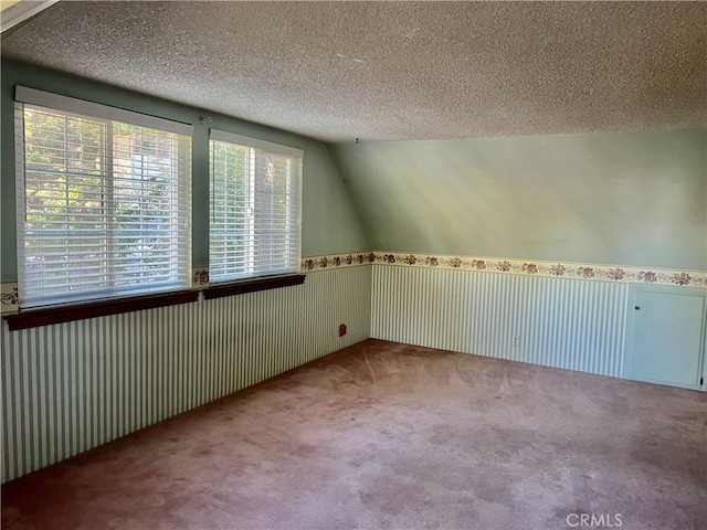31016 Summit Dr, Running Springs, CA 92382 - bonus room with wainscoting, carpet floors, and a textured ceiling