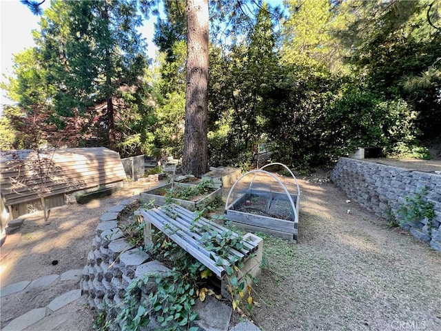 31016 Summit Dr, Running Springs, CA 92382 - view of yard featuring a garden
