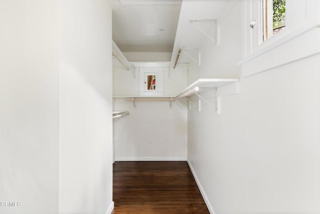 413 Sycamore Pl, Sierra Madre, CA 91024 - walk in closet with wood finished floors