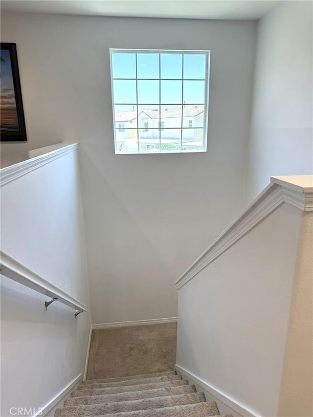 27265 Graphite Dr, Menifee, CA 92584 - stairs with carpet flooring and baseboards