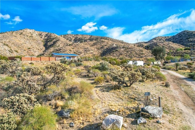 9271 S Samel Rd, Morongo Valley, CA 92256 - photo 9
