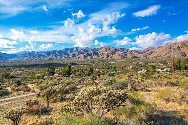 9271 S Samel Rd, Morongo Valley, CA 92256 - photo 64