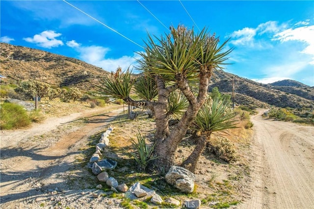 9271 S Samel Rd, Morongo Valley, CA 92256 - photo 13