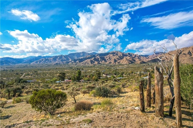 9271 S Samel Rd, Morongo Valley, CA 92256 - photo 61