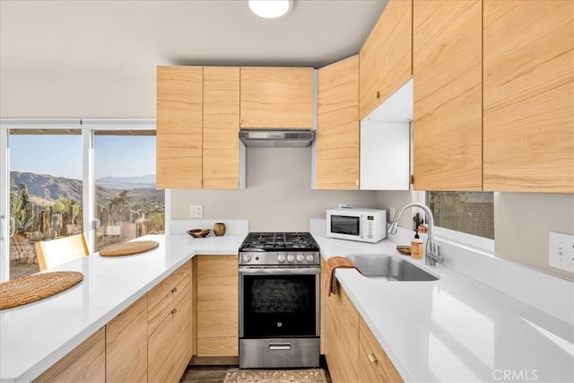 9271 S Samel Rd, Morongo Valley, CA 92256 - photo 21