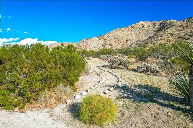 9271 S Samel Rd, Morongo Valley, CA 92256 - photo 66