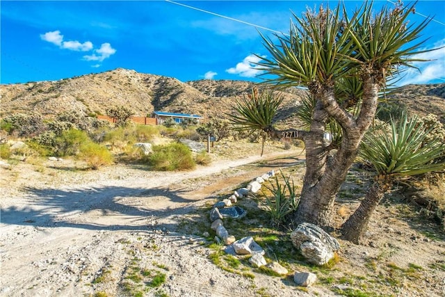 9271 S Samel Rd, Morongo Valley, CA 92256 - photo 14