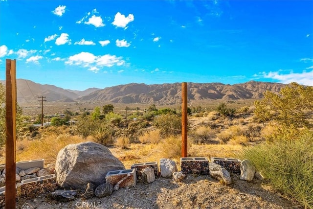 9271 S Samel Rd, Morongo Valley, CA 92256 - photo 42
