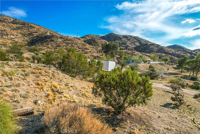 9271 S Samel Rd, Morongo Valley, CA 92256 - photo 65