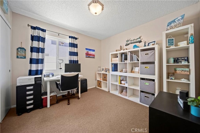 28927 Rue Daniel Cyn, Country, CA 91387 - home office featuring carpet and a textured ceiling