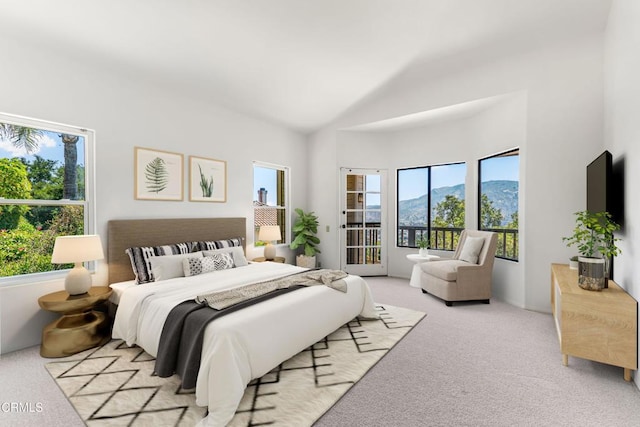 800 Manor Ridge Rd, Santa Paula, CA 93060 - carpeted bedroom with access to outside and lofted ceiling