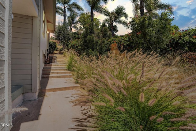 800 Manor Ridge Rd, Santa Paula, CA 93060 - view of yard