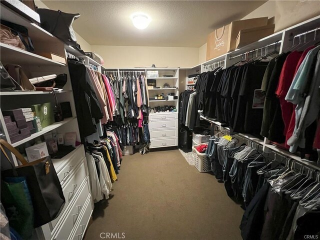 4866 Stoneglen Ave, Fontana, CA 92336 - spacious closet featuring light carpet