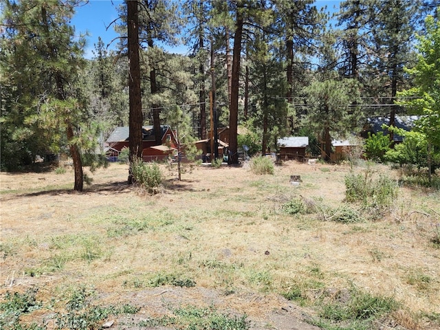 1322 Edna St, Wrightwood, CA 92887