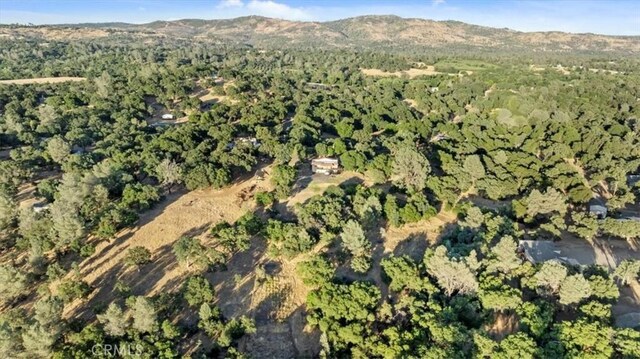 176 Breeze Hollow Ln, Oroville, CA 95966 - photo 61
