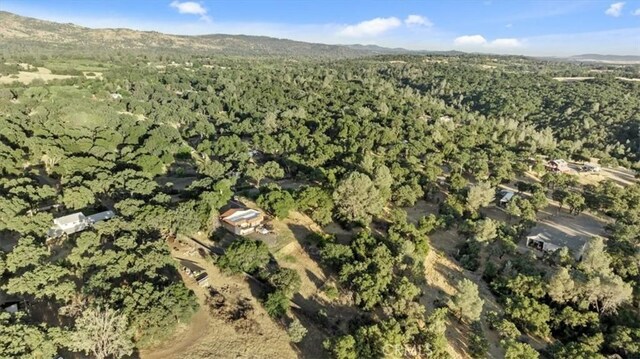 176 Breeze Hollow Ln, Oroville, CA 95966 - photo 62