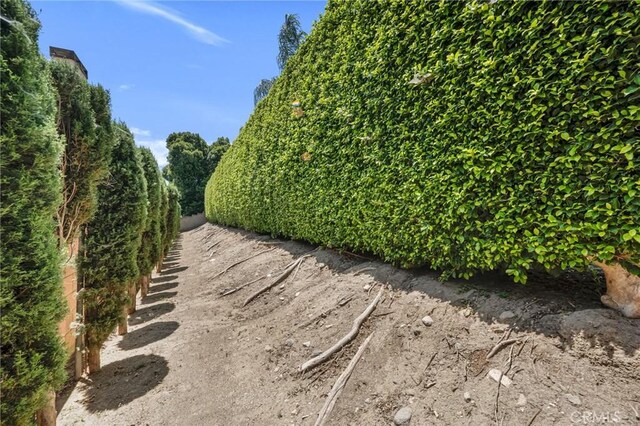 17262 Chase St, Northridge, CA 91325 - view of yard