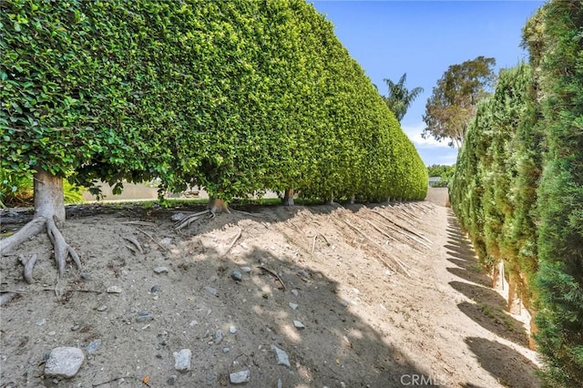17262 Chase St, Northridge, CA 91325 - view of yard