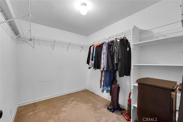 17262 Chase St, Northridge, CA 91325 - walk in closet with carpet floors
