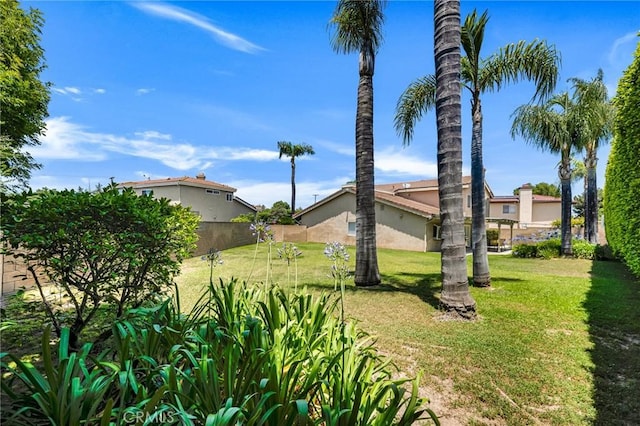 17262 Chase St, Northridge, CA 91325 - view of yard